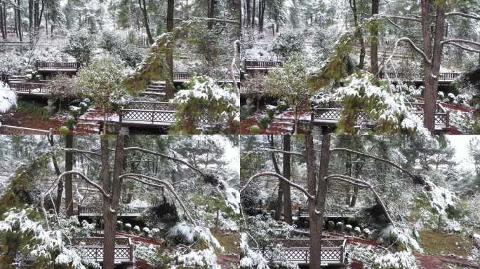 航拍重庆北碚金领地山地越野公园喜降瑞雪