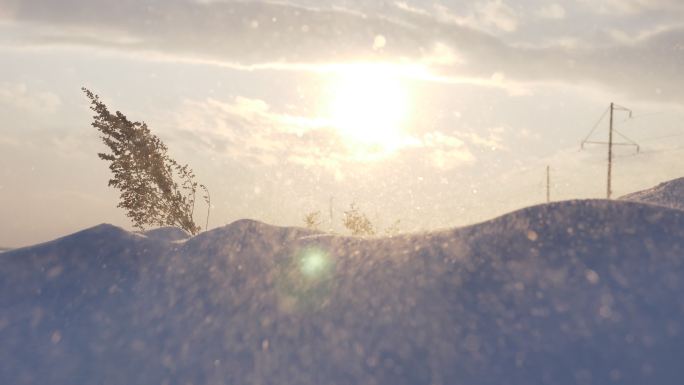 枯草风吹雪 酷寒凄凉之地