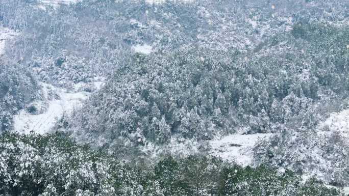 贵州大山（雪）