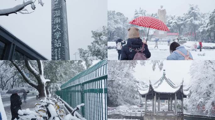 湖南大学岳麓书院雪景