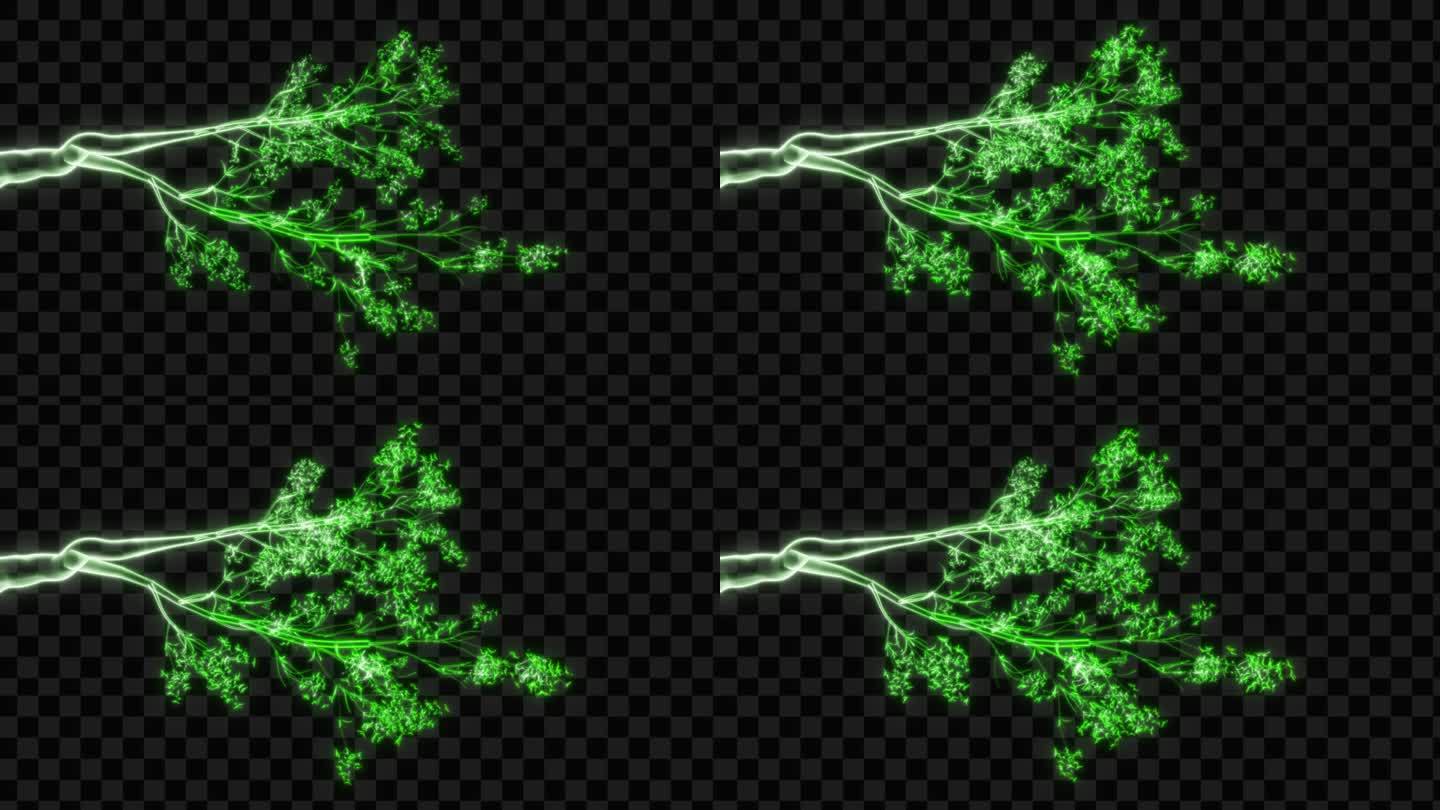 绿色水晶发光树枝生长动画-带透明通道