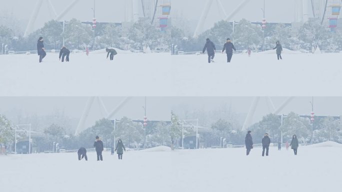 市民玩雪12