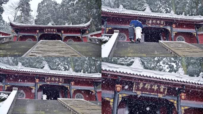 唯美雪景四川荥经云峰寺古树公园下雪