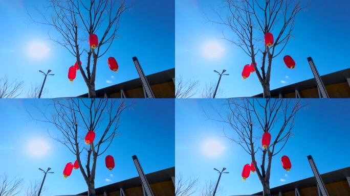 【原创】4K过年过节喜事树上挂红灯笼喜庆