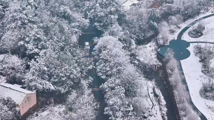 下雪白皑皑汽车行驶