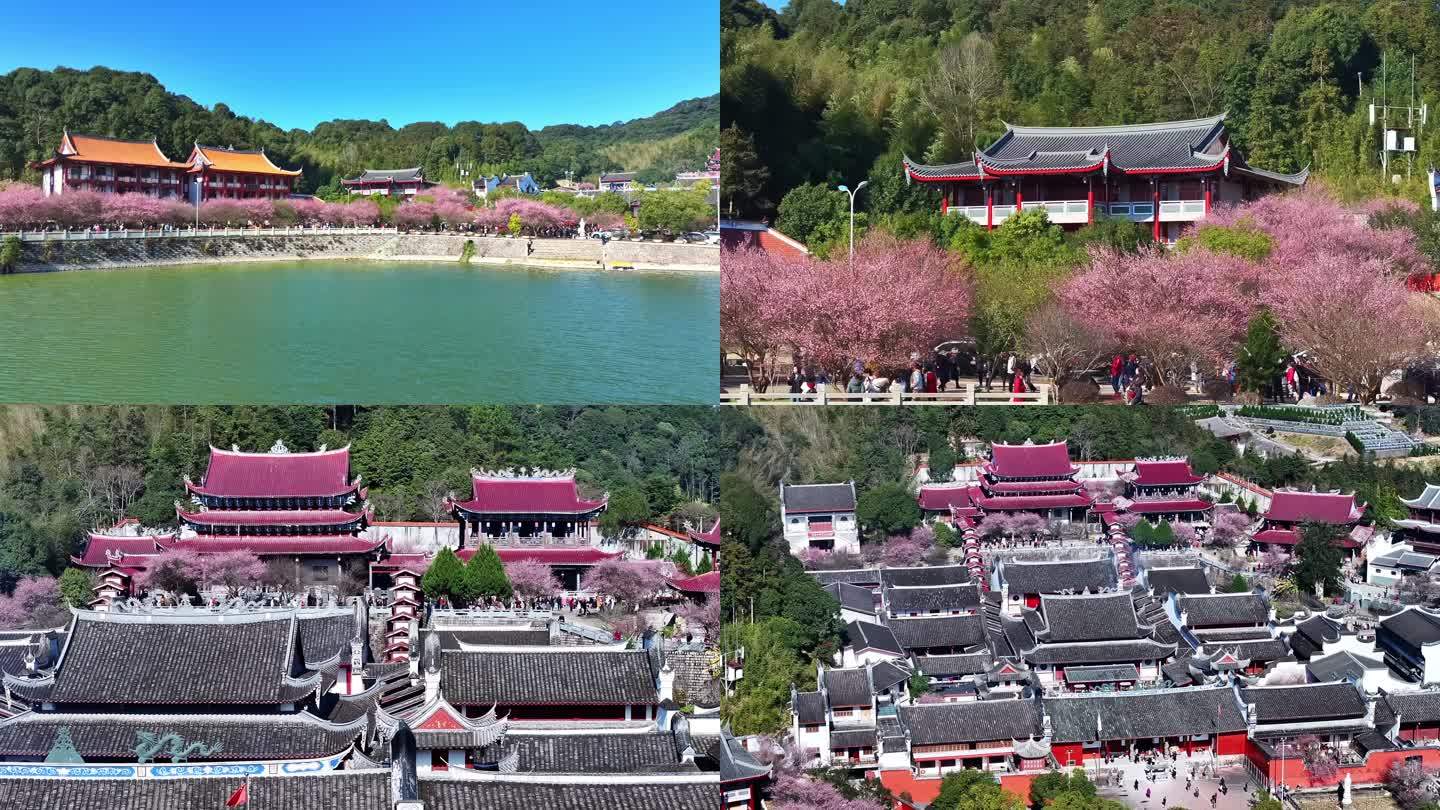 航拍林阳寺梅花 福州文旅地标