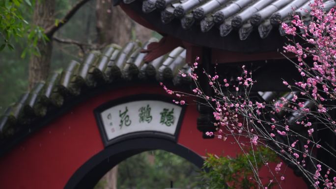 成都武侯祠冬季雪景风光