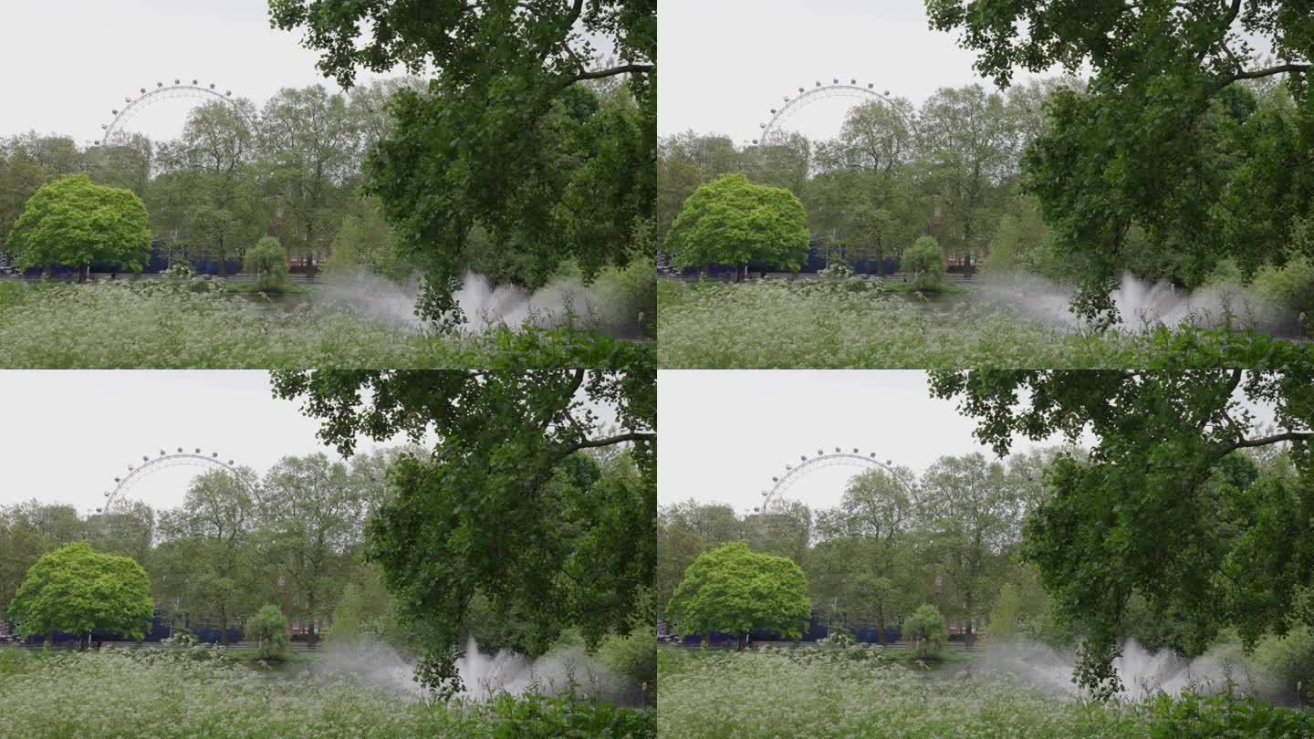 伦敦，英国——2023年5月22日:伦敦眼和一个人在圣詹姆斯公园喷泉边慢跑的长镜头镜头