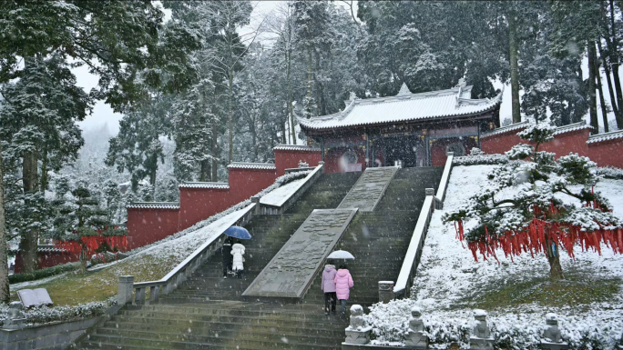 唯美雪景四川荥经云峰寺古树公园下雪