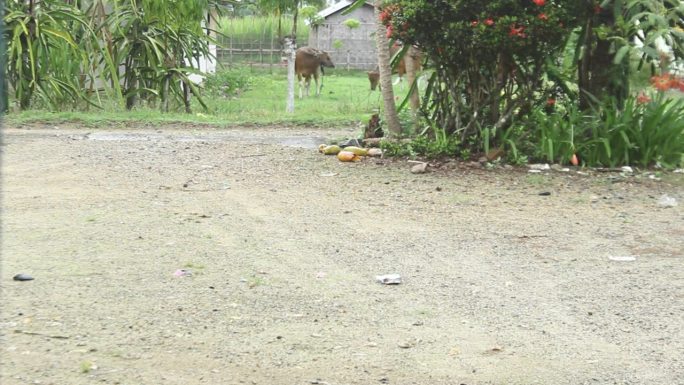 下雨时地面是湿的