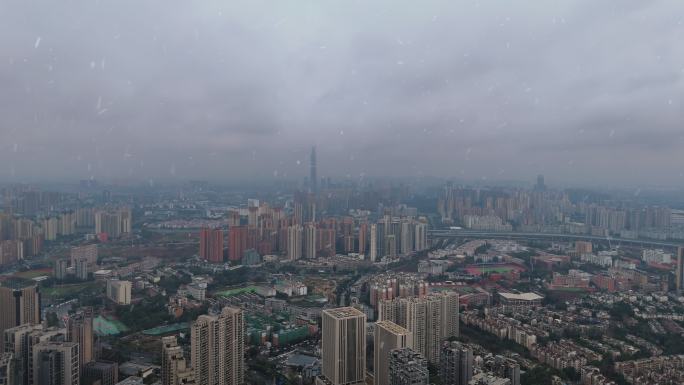 城市高空雪花飞舞