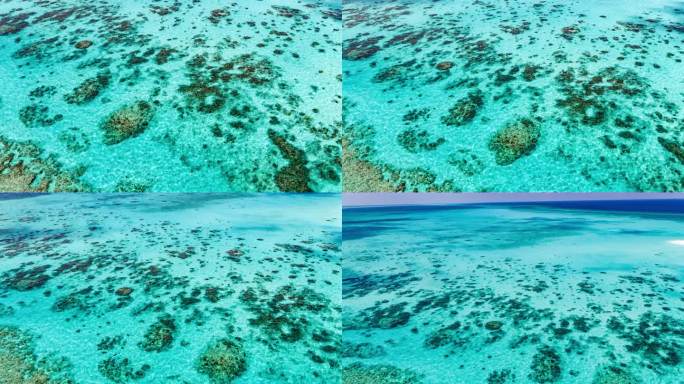南海西沙玉啄礁珊瑚岛屿堡礁【精品】