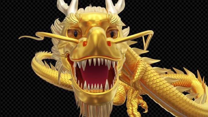 5款金龙粒子4k+Alhpa通道