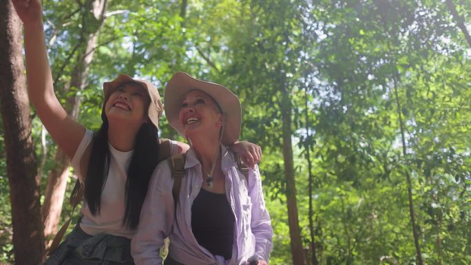 活跃的老年妇女和年轻妇女享受在森林徒步旅行的自由在夏天，被惊人的自然包围