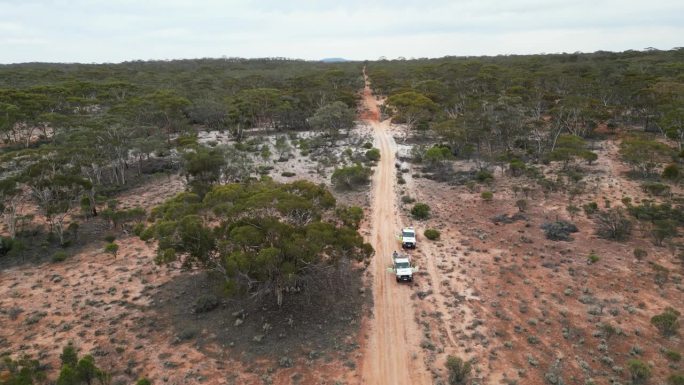 西澳丛林地区的矿山勘探和土壤取样活动