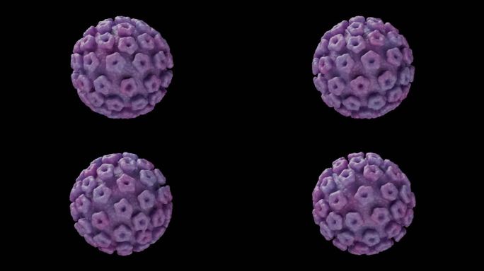 4KHPV人乳头瘤病毒带透明通道无缝循环