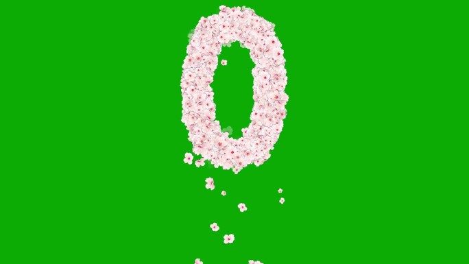 数字0与樱桃花在绿色的屏幕背景