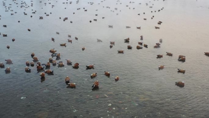 呼和浩特千岛湖