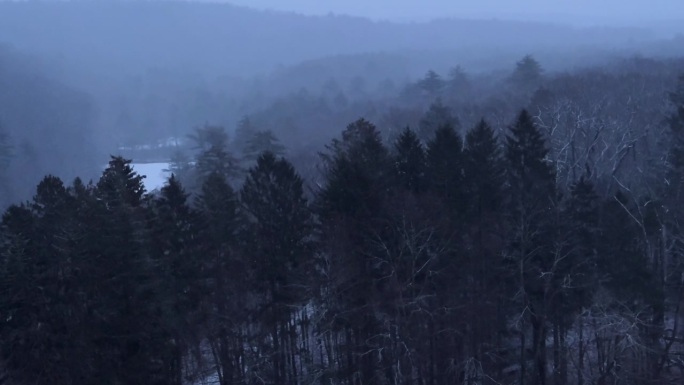 轻轻地飘落的雪覆盖在茂密美丽的连绵林地上