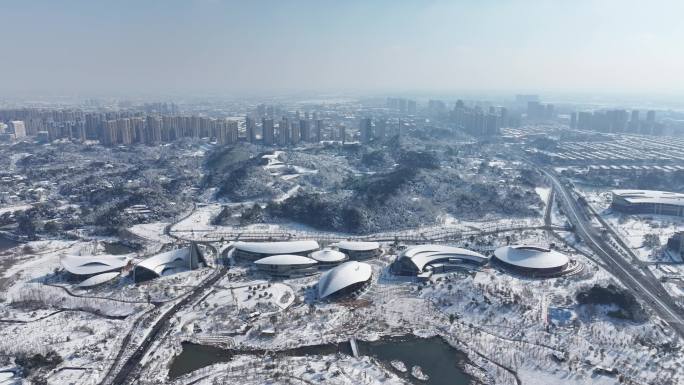 益阳 一园两中心 雪景航拍宣传片空景