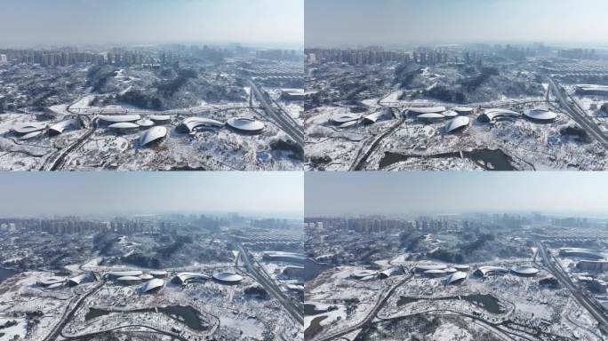 益阳 一园两中心 雪景航拍宣传片空景