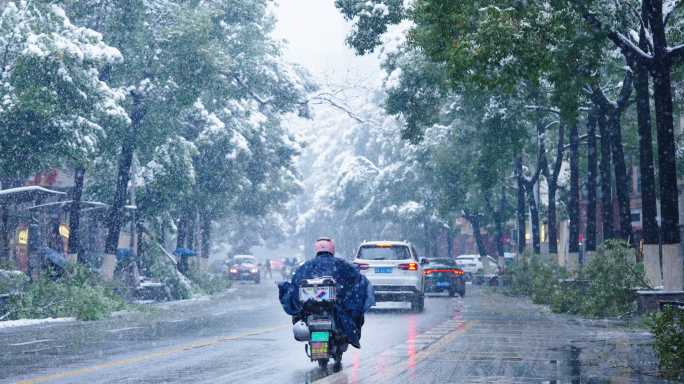 雪中街道车辆