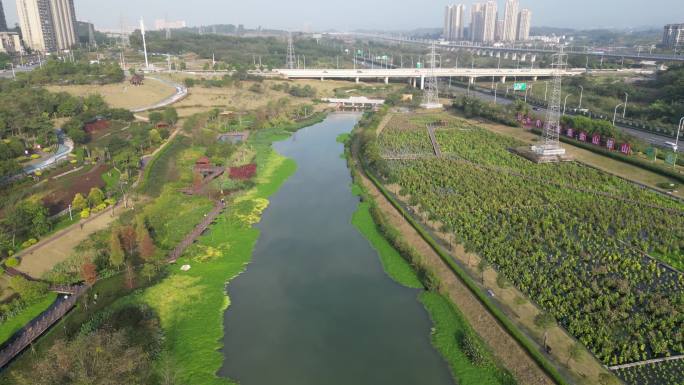 【高清】广西南宁兴宁区那考河湿地公园航拍