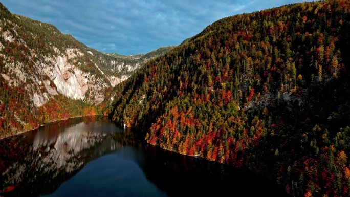 无人机拍摄的秋天的树木在奥地利的穷乡僻壤变色。