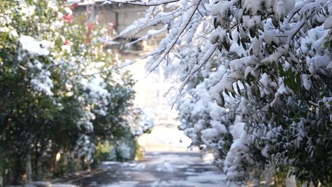 益阳清溪村雪景 fx3 宣传片空景