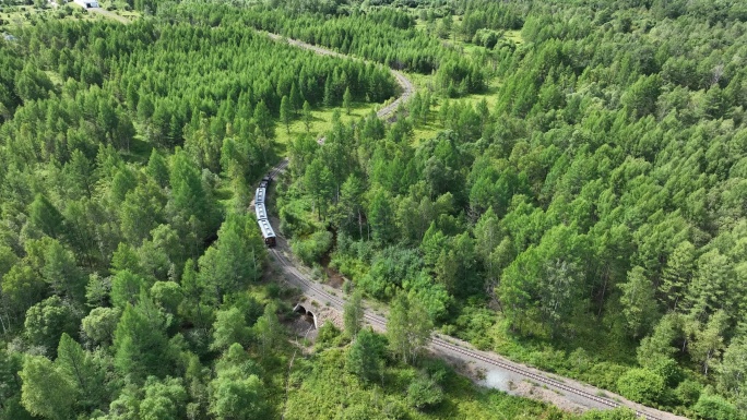 环保森林小火车天然林保护