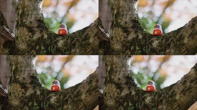 在大阪Minoh的Katsuoji，树上的小达摩好运娃娃4k