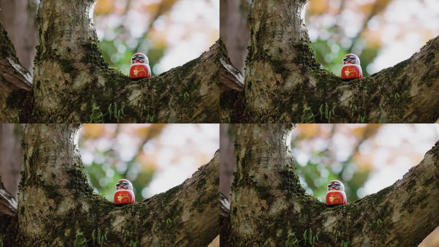 在大阪Minoh的Katsuoji，树上的小达摩好运娃娃4k