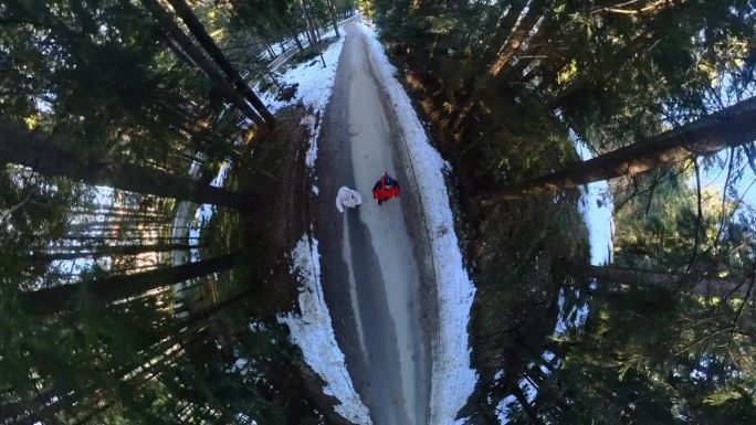 一对成年夫妇在冬天的雪山森林里散步。