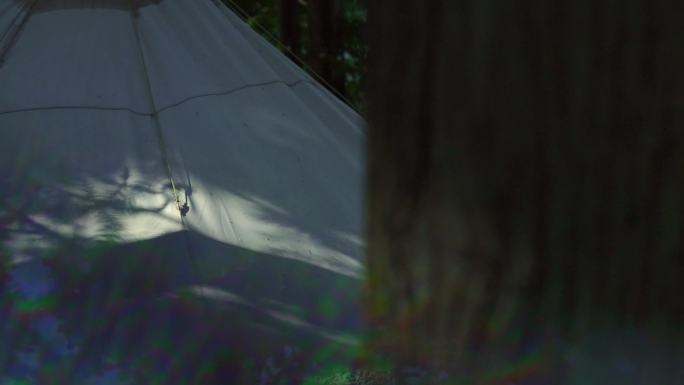 山野山林树林帐篷阳光光影