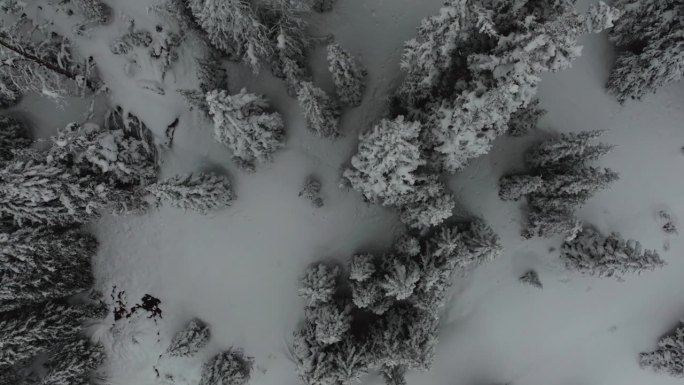 电影航拍科罗拉多冬季仙境春天深粉雪覆盖松树洛夫兰滑雪胜地艾森豪威尔隧道库恩山偏远地区70大陆分水岭落