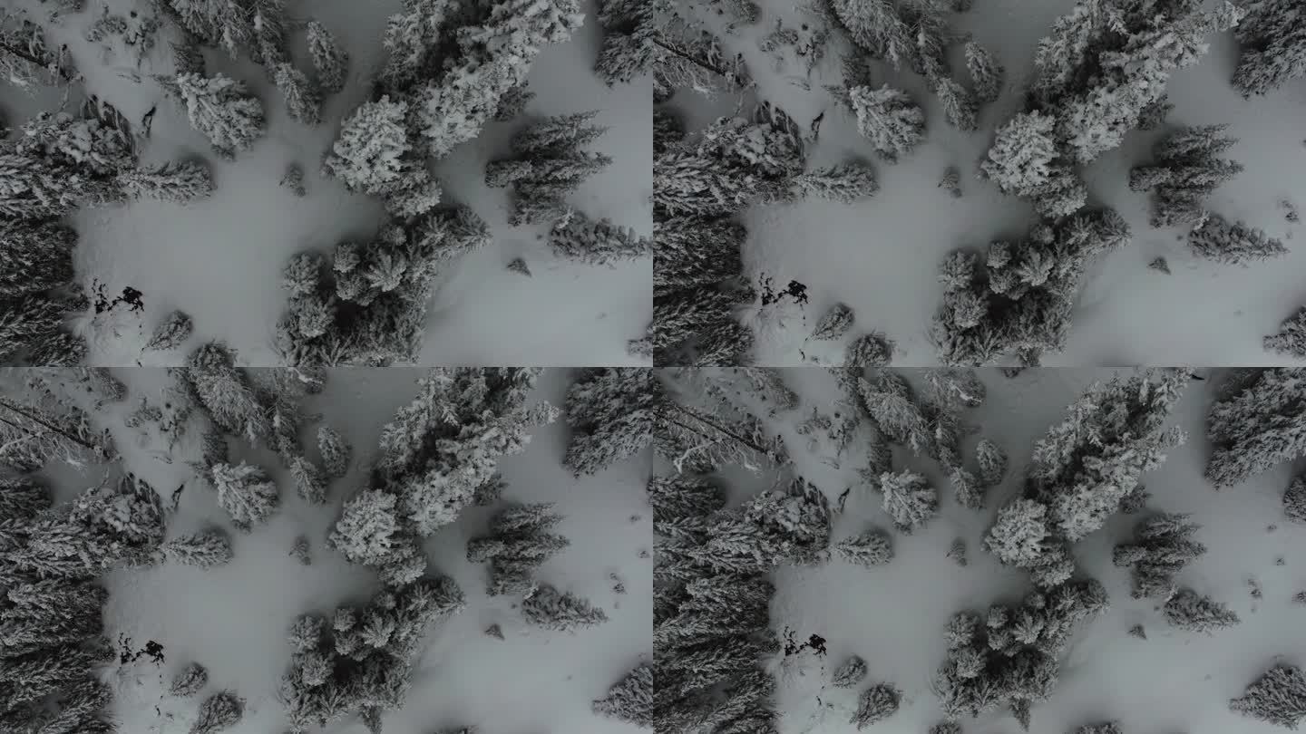 电影航拍科罗拉多冬季仙境春天深粉雪覆盖松树洛夫兰滑雪胜地艾森豪威尔隧道库恩山偏远地区70大陆分水岭落