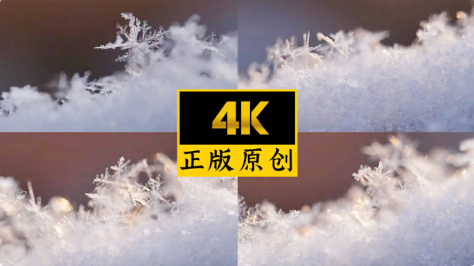 雪花 唯美雪