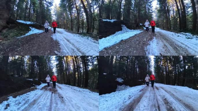 一对成年夫妇在冬天的雪山森林里散步。