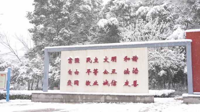 益阳大道雪景 宣传片 fx3 空景