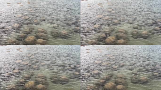 西澳大利亚克利夫顿克利夫顿湖血栓形成的岩石状生物的惊人景象。高角度视图