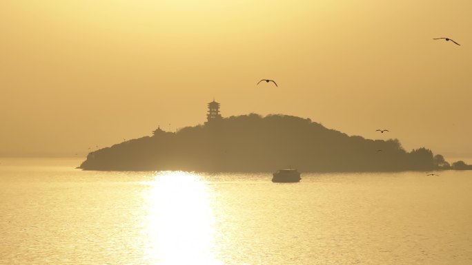 无锡鼋头渚 太湖 夕阳 红嘴鸥