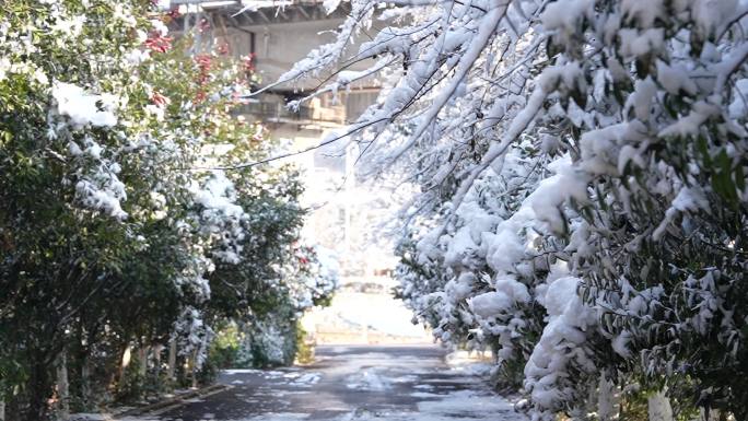 益阳清溪村雪景 fx3 宣传片空景