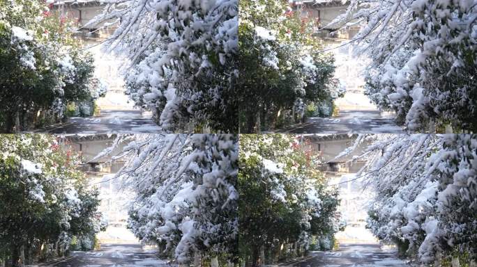 益阳清溪村雪景 fx3 宣传片空景