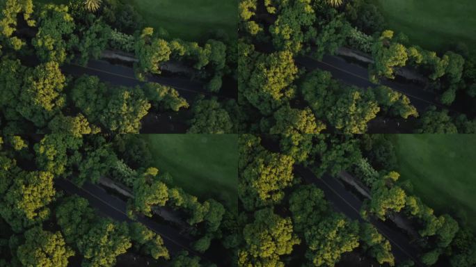 无人机在空旷的道路上旋转90度，在阳光下的落叶林中，俯视图