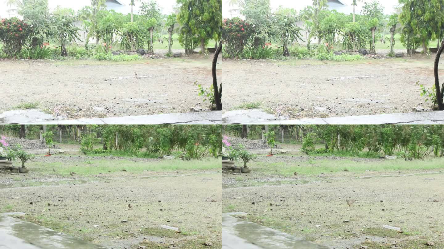 下雨时地面是湿的