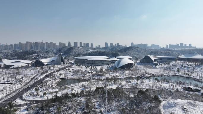 益阳 一园两中心 雪景航拍宣传片空景