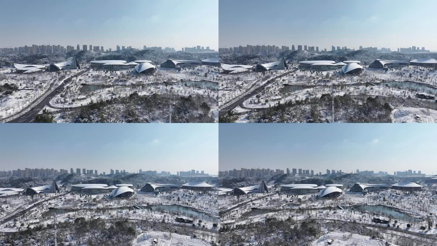 益阳 一园两中心 雪景航拍宣传片空景