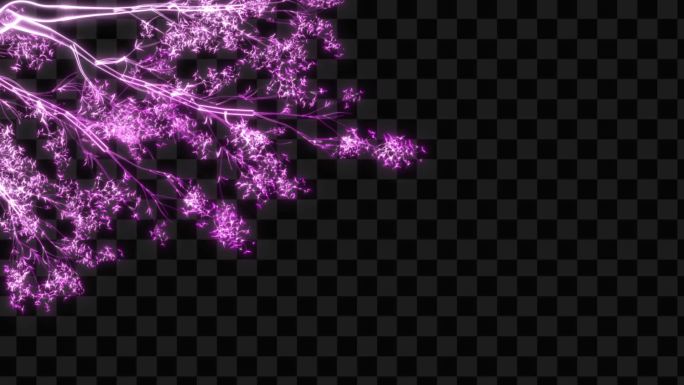 紫色水晶发光树枝花开生长动画-带透明通道