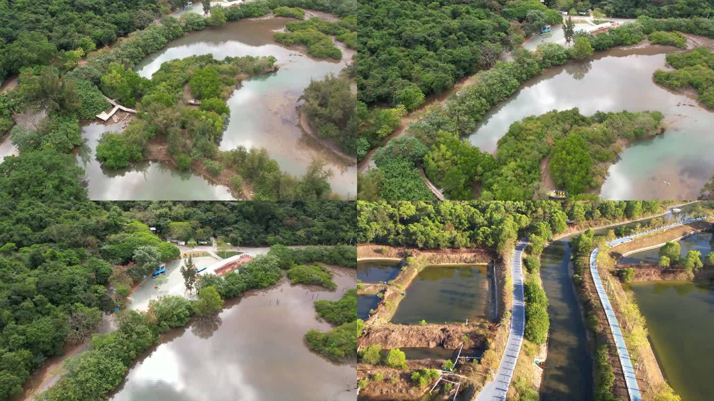 航拍海岛蓝湾树林生态湿地生态林