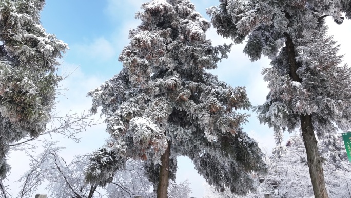 4k 天子山雪景 西海峰林